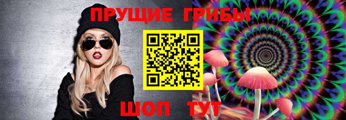 Биробиджан  Псилоцибиновые грибы Psilocybe  закладка  Псилоцибиновые грибы мицелий  Вход с VPN 