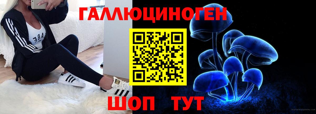 Псилоцибиновые грибы ЛСД Биробиджан